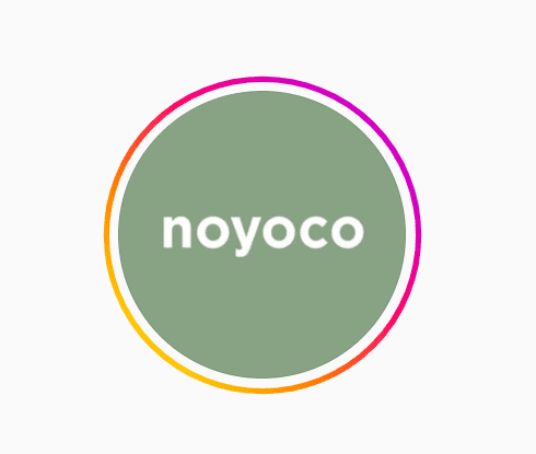 noyoco brand logo