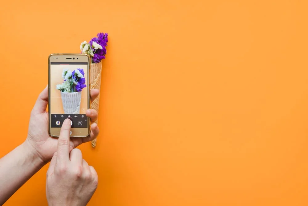 photo on orange background