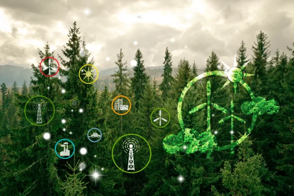 trees